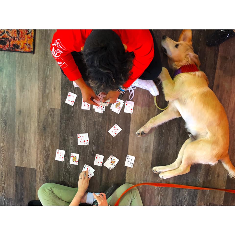 cards and pups